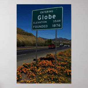 Orange Poppies Blooming In Globe Arizona Poster