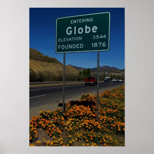 Orange Poppies Blooming In Globe Arizona Poster
