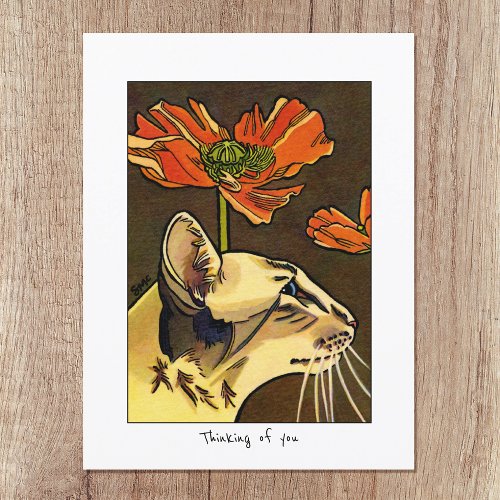 Orange Poppies Cat Thinking of You Custom Postcard