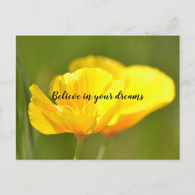 Orange Poppies Postcard (Front)