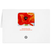 Orange Poppy Cards (Back Horizontal)