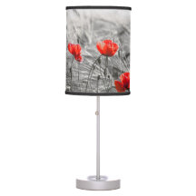 Orange Poppy Flower Field Minimalist Photography