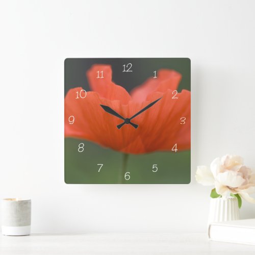 Orange Poppy Flower in Green Garden Square Wall Clock