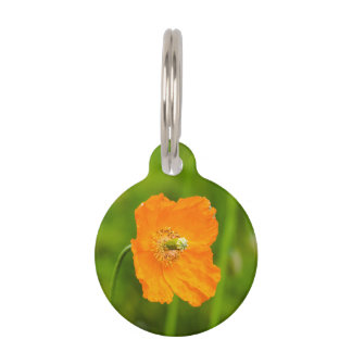 Orange Poppy Flower Photo Name And Phone Number Pet ID Tag
