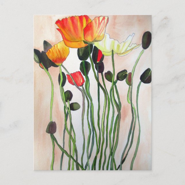 Orange Poppy flowers watercolour painting Postcard (Front)