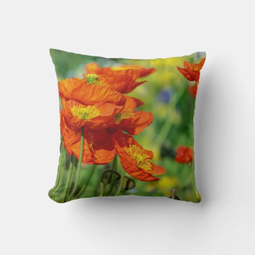 Orange Poppy Green Grass Decorator Pillow