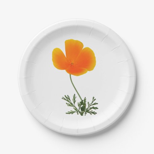 orange poppy paper plates