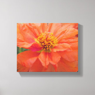 Orange Portulaca Canvas Print