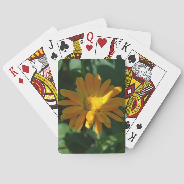 Orange Pot Marigold Flower (Calendula officinalis) Poker Cards (Back)