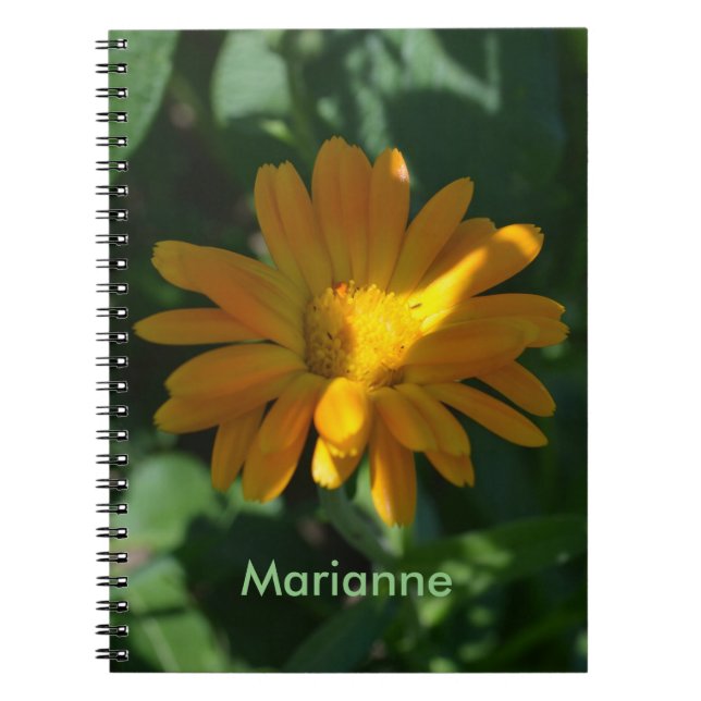 Orange Pot Marigold Flower Personalized Notebook (Front)