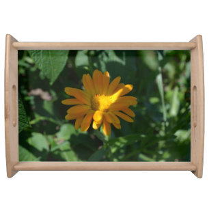 Orange Pot Marigold Flower Personalized Serving Tray
