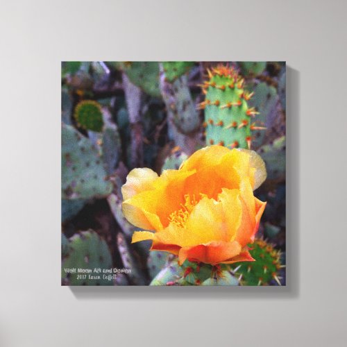 Orange prickly pear cactus blossom photo canvas print