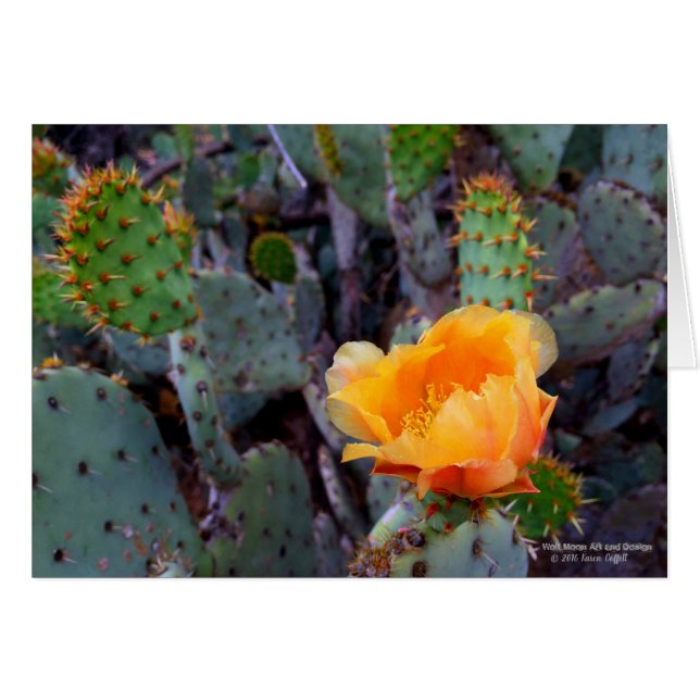 Orange Prickly Pear Cactus Flower Blossom Cards (Front Horizontal)