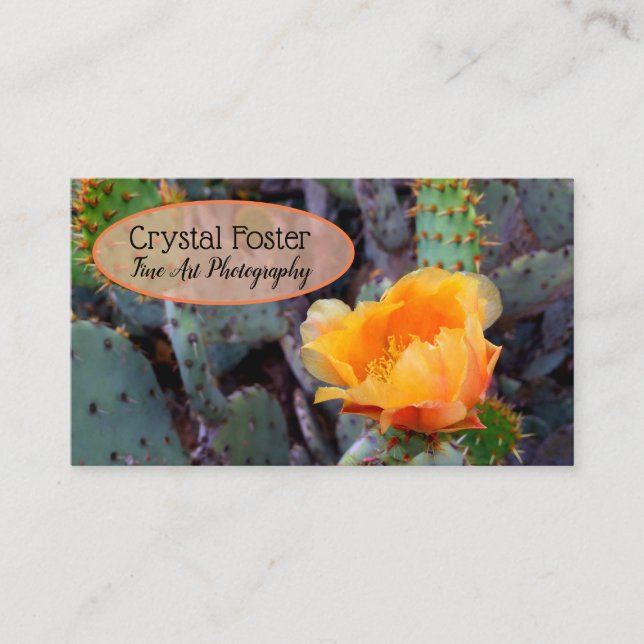 Orange Prickly Pear Opuntia Cactus Flower Photo Business Card (Front)