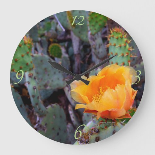 Orange Prickly Pear Opuntia Cactus Flower Photo Large Clock
