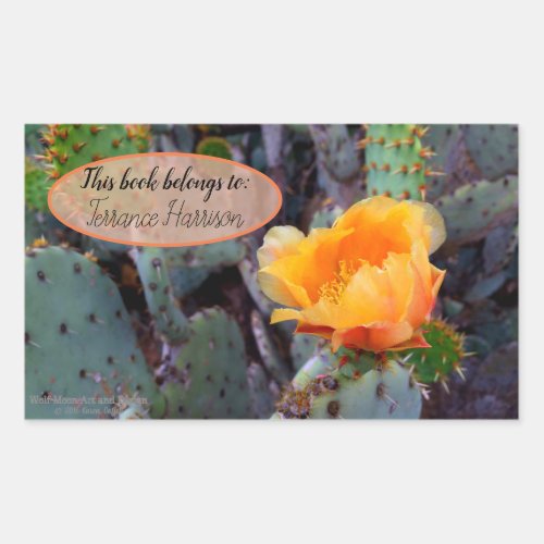 Orange prickly pear opuntia cactus flower photo rectangular sticker