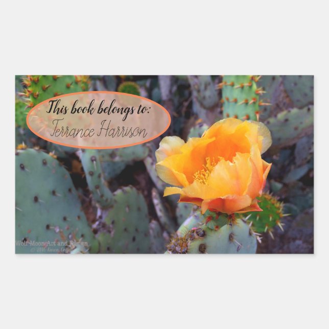 Orange prickly pear opuntia cactus flower photo rectangular sticker (Front)
