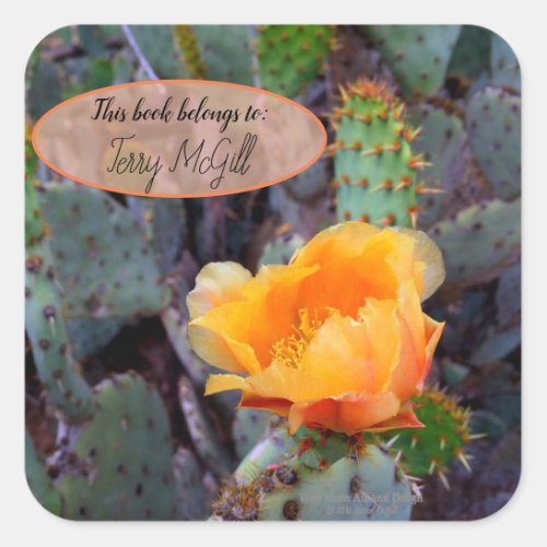 Orange prickly pear opuntia cactus flower photo square sticker