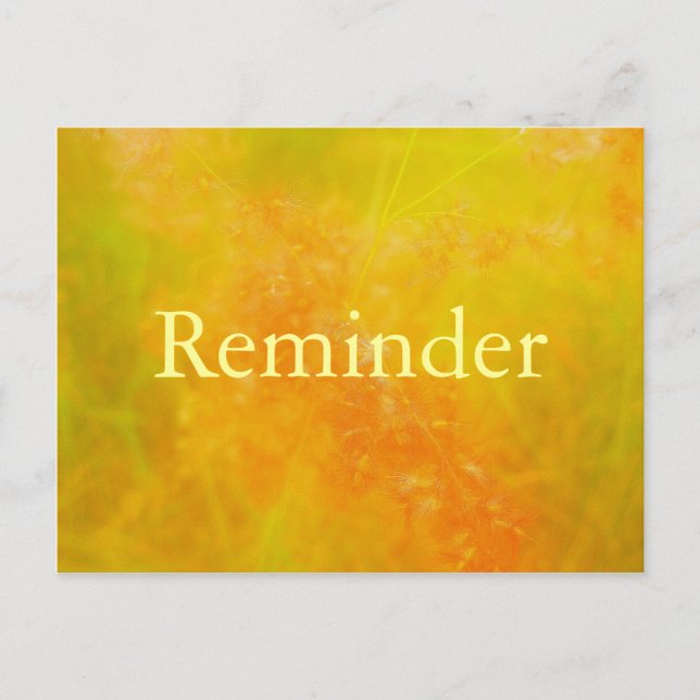 Orange professional appointment reminder card (Front)