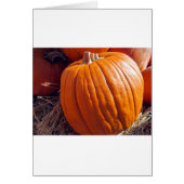 Orange Pumpkin (Front)