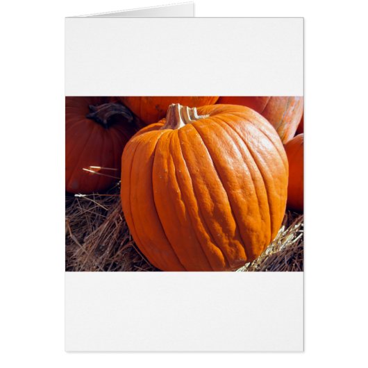 Orange Pumpkin Cards (Front)