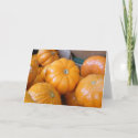 Orange Pumpkin Ghourds card
