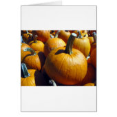 Orange Pumpkins (Front)