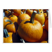 Orange Pumpkins (Front Horizontal)