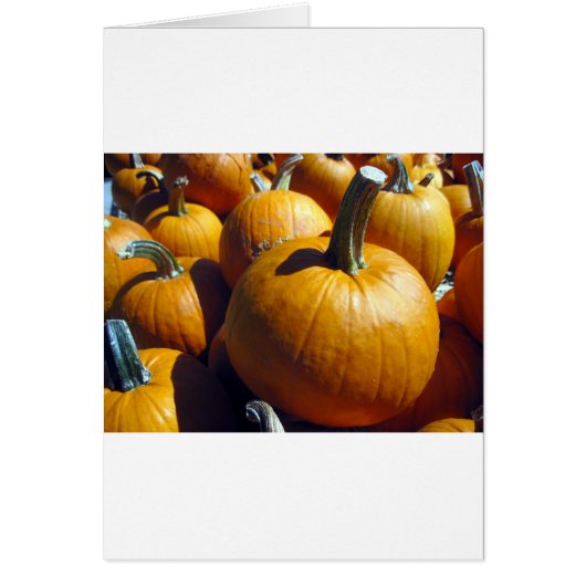 Orange Pumpkins Cards (Front)