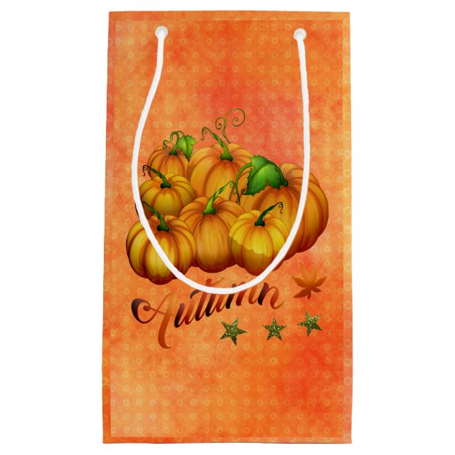 Orange Pumpkins Small Gift Bag (Front)