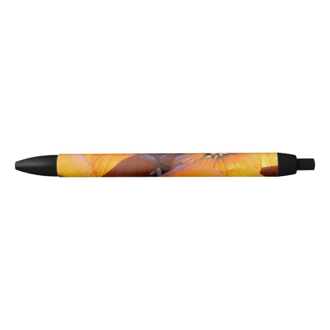 Orange Pumpkins Trailer Pen (Front)
