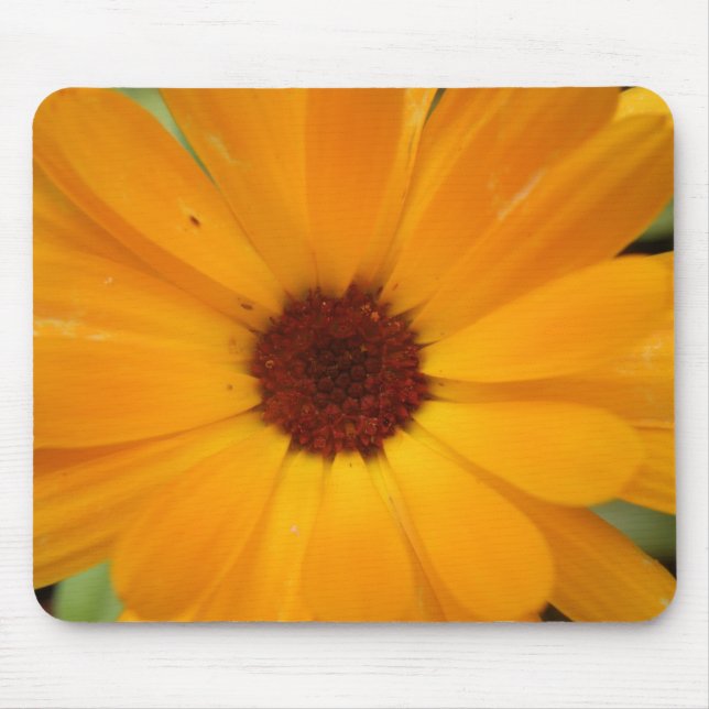 Orange Rain Daisy Mousepad (Front)