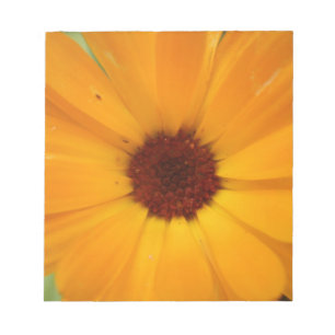 Orange Rain Daisy Notepad