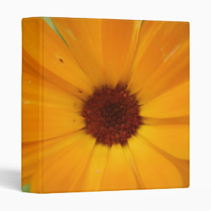Orange Rain Daisy Photograph Album Binder