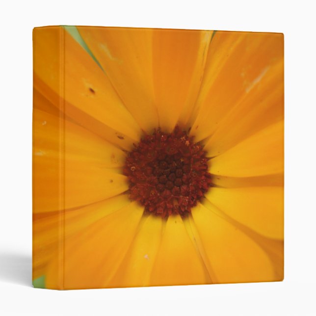 Orange Rain Daisy Photograph Album Binder (Front/Spine)