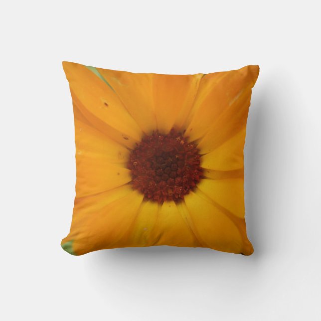 Orange Rain Daisy Pillow (Front)