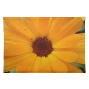Orange Rain Daisy Placemat