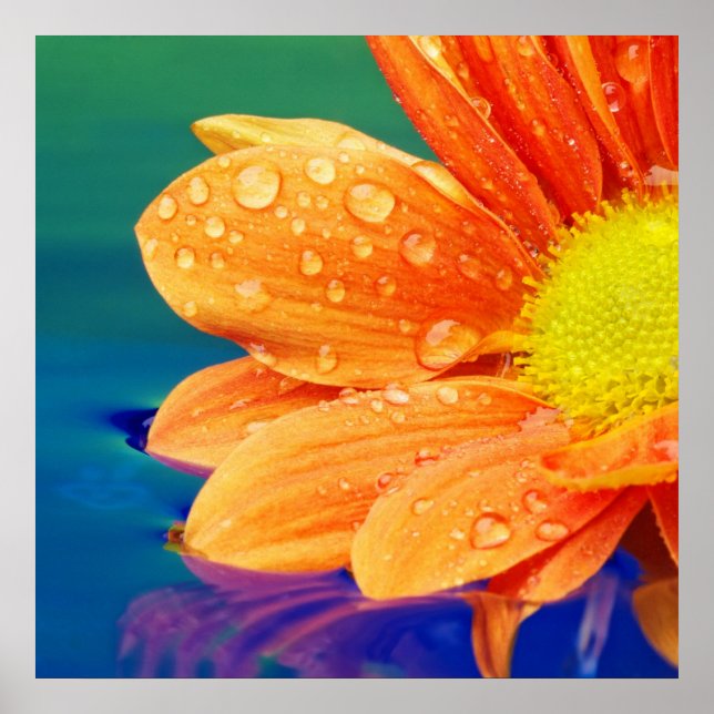 Orange Raindrops Photograph Poster (Front)