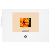 Orange ranunculus cards (Back Horizontal)