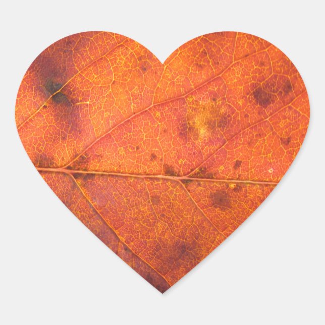 Orange-Red Autumn Leaf Photo Stickers (Front)