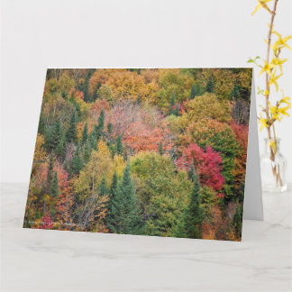 Orange Red Bushes Card