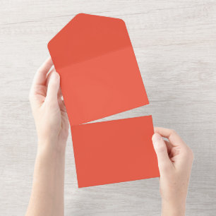 Orange Red #EC553E, Pale Copper All In One Invitation