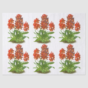 Orange Red Exotic Orchid Flower Decoupage Tissue Paper