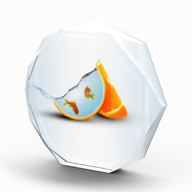 Orange & Red Fish Photo Block (Right)
