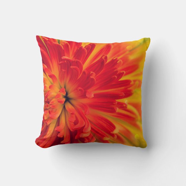 Orange-red flower throw pillow (Front)