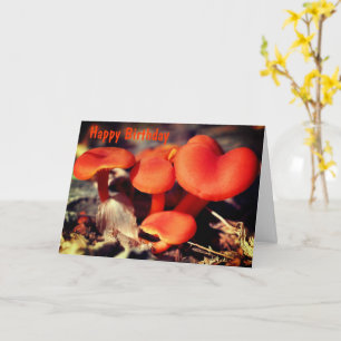 Orange Red Mushrooms Nature Birthday  Card