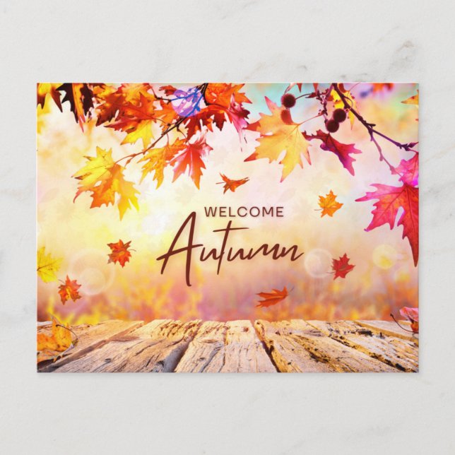 Orange Red Natural Autumn Season Holiday Postcard (Front)