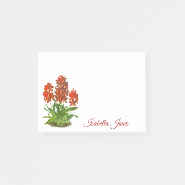 Orange Red Orchid Flowe Notes (Front)