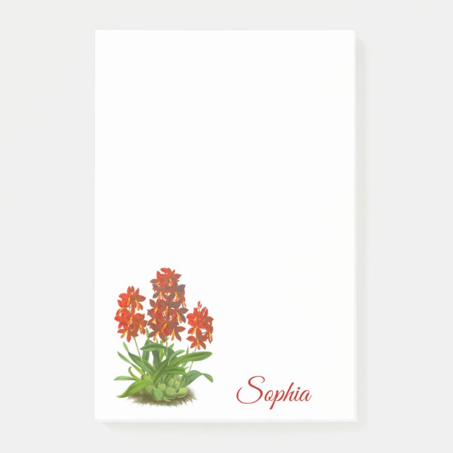 Orange Red Orchid Flower Notes (Front)