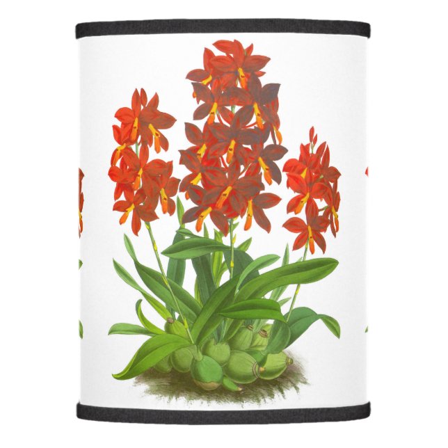 Orange Red Orchid Flower Table Lamp (Front)